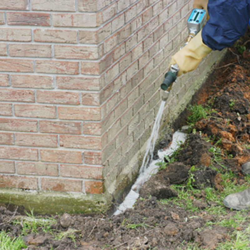 Termite Treatment Melbourne